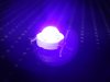 UV LED紫光燈