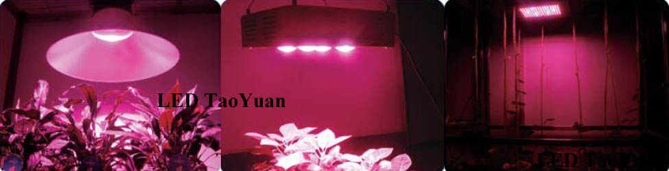 UV Grow Light-5 - Click Image to Close